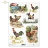 Easter, spring, retro, eggs, chickens, chicken, cock, roosters